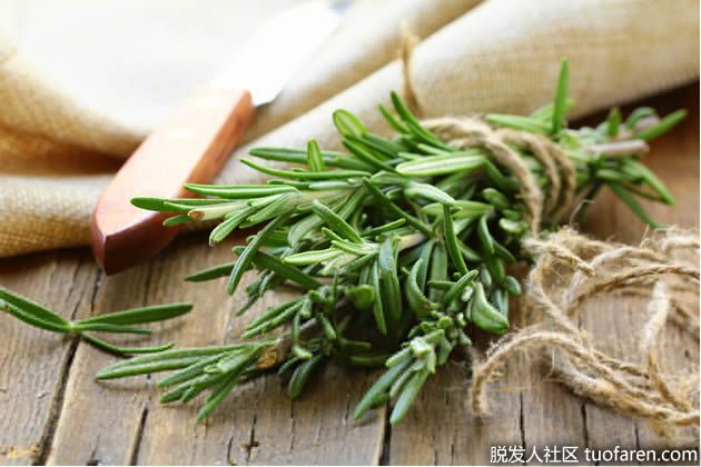 【圖】迷迭香的好處