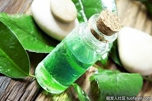 【圖】茶樹油對頭髮的功效