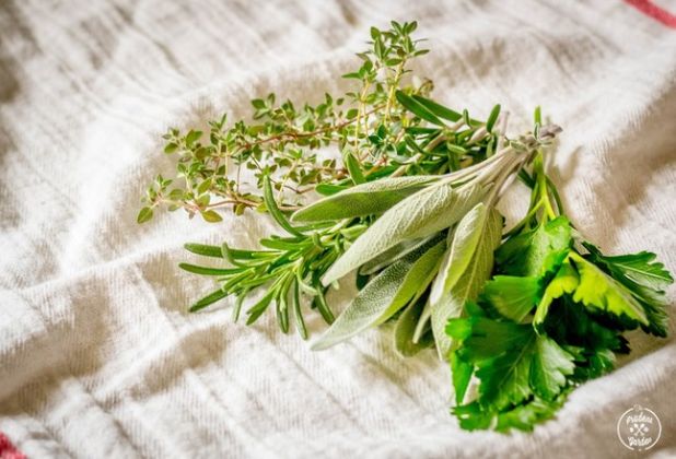 【圖】迷迭香和鼠尾草用於頭髮生長