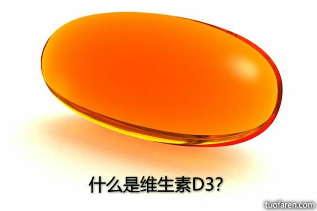 【圖】什麼是維生素D3？