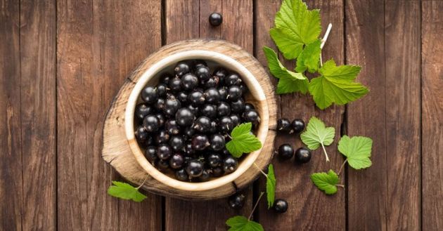 【圖】黑加侖籽油的神奇功效