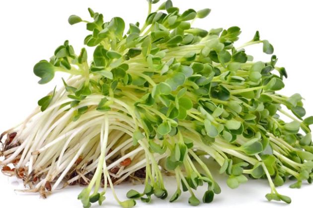 【圖】吃最好的食物來促進頭髮生長