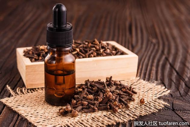 【圖】什麼是丁香精油？