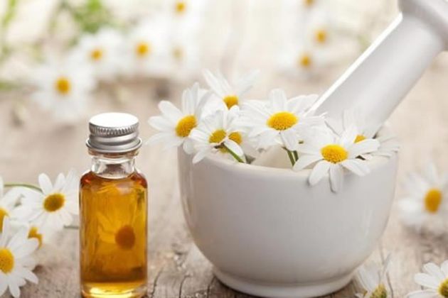 【圖】什麼是洋甘菊精油？