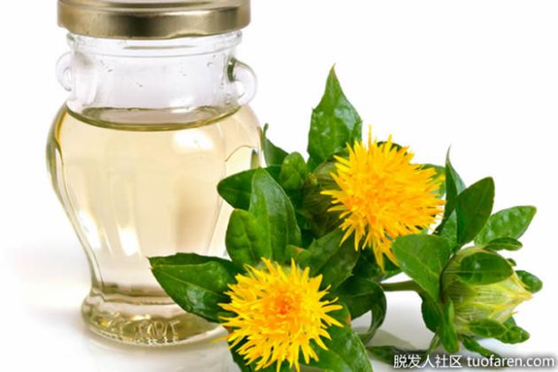 【圖】紅花籽油對頭髮的好處：為什麼紅花籽油不會讓你脱髮