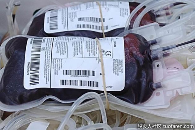 【圖】循環系統的主要功能是什麼？