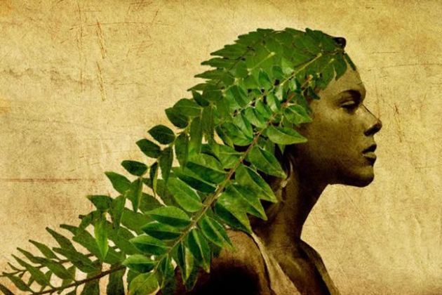 【圖】咖喱葉對頭髮的6個好處