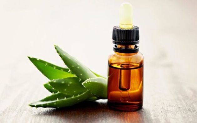 【圖】蘆薈油有什麼好處?