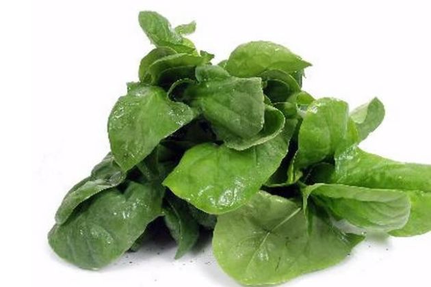 【圖】含α-硫辛酸的水果和蔬菜