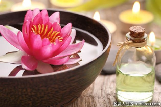 【圖】什麼是蓮花精油？