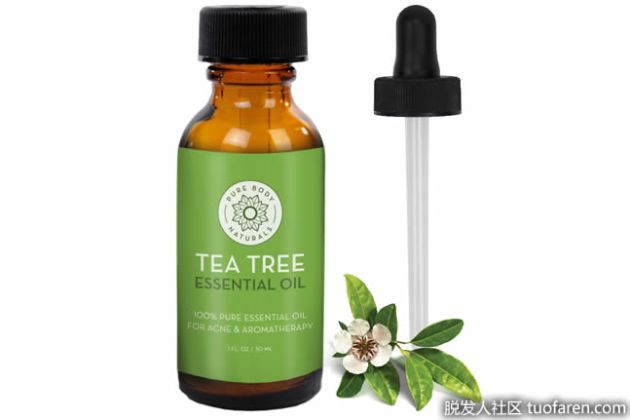 【圖】茶樹油可以塗頭髮嗎？