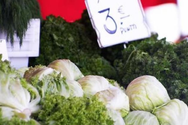 【圖】含維生素K的水果和蔬菜