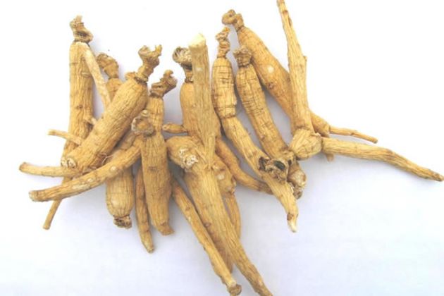 【圖】人蔘對頭髮有什麼好處?