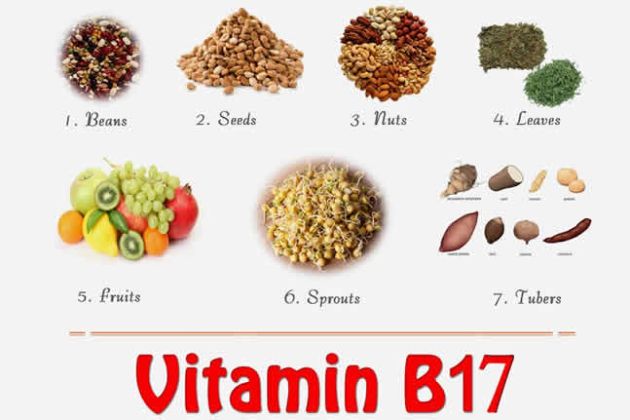 【圖】什麼食物含有維生素B17?