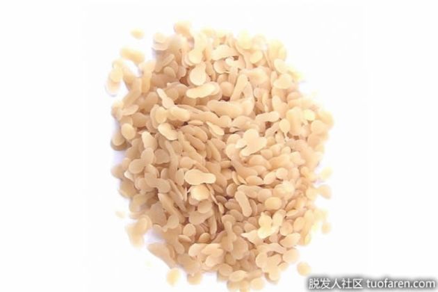 【圖】什麼是荷荷巴蠟？