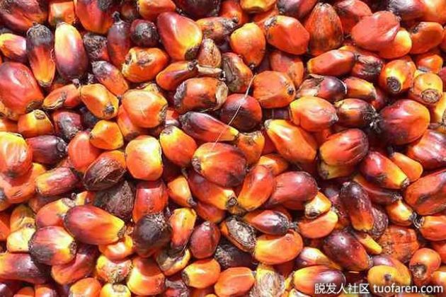 【圖】紅棕櫚油對皮膚的好處和美容秘訣