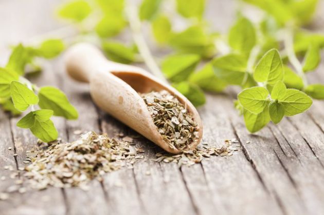 【圖】牛至茶的功效與作用