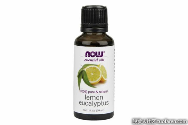 【圖】什麼是檸檬桉樹油？