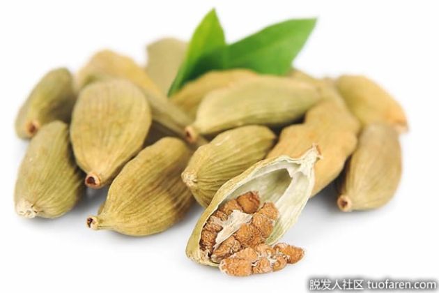 【圖】什麼是豆蔻精油？