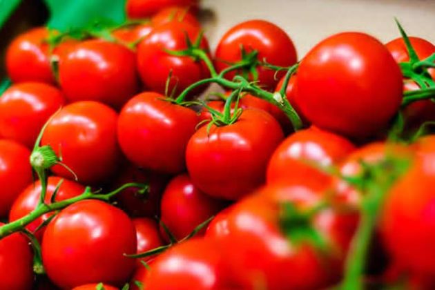 【圖】番茄紅素是什麼？