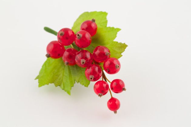 【圖】紅醋栗有什麼好處?