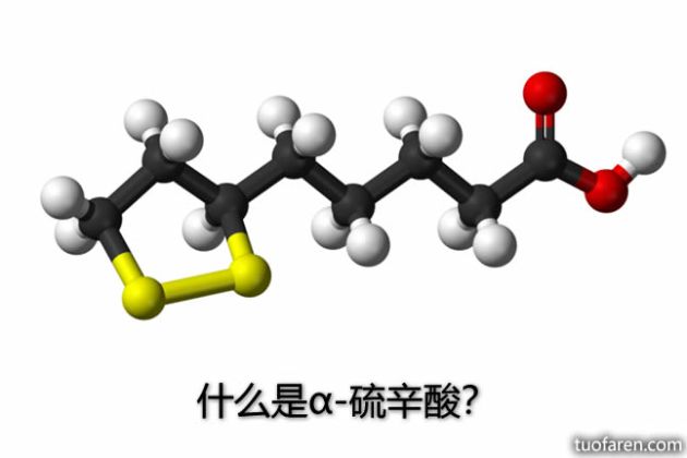 【圖】什麼是α-硫辛酸？