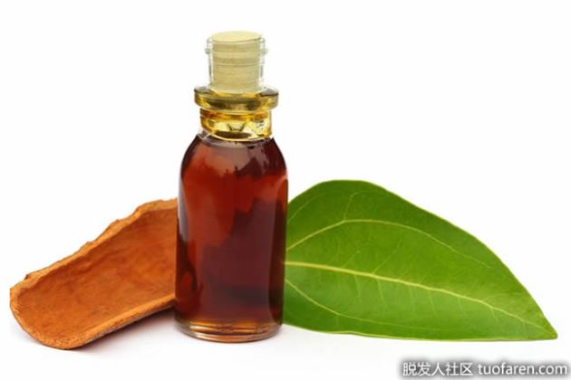 【圖】什麼是肉桂葉精油？