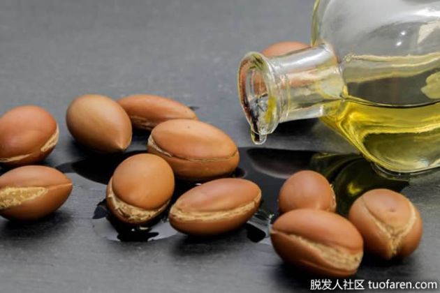 【圖】什麼是摩洛哥堅果油？