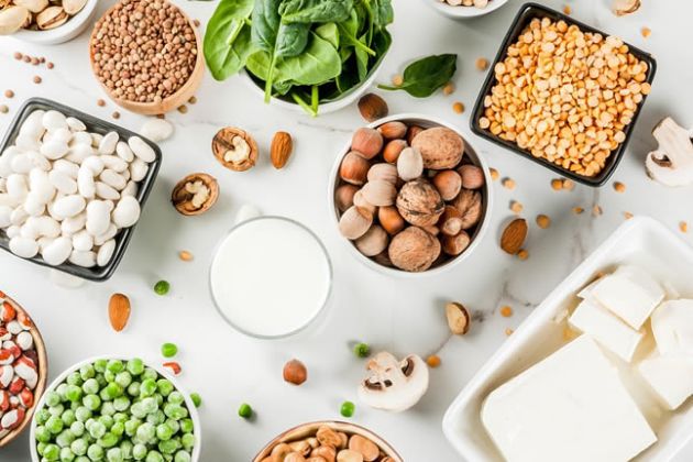 【圖】什麼是素食高蛋白飲食？