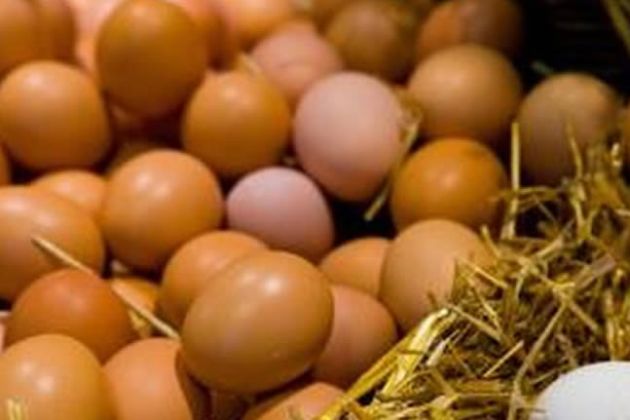 【圖】含硫的食物有哪些？