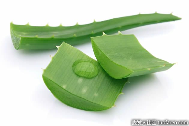 【圖】蘆薈的好處