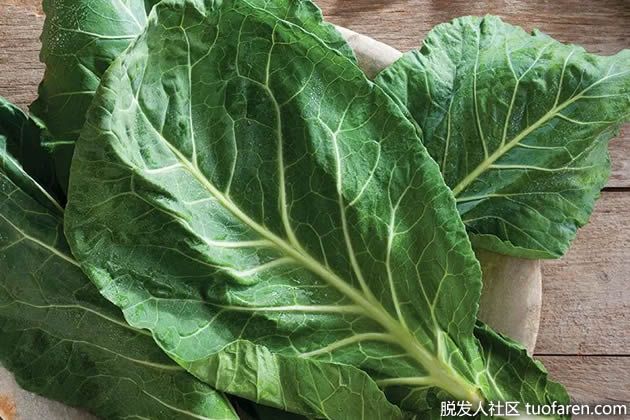 【圖】羽衣甘藍的功效
