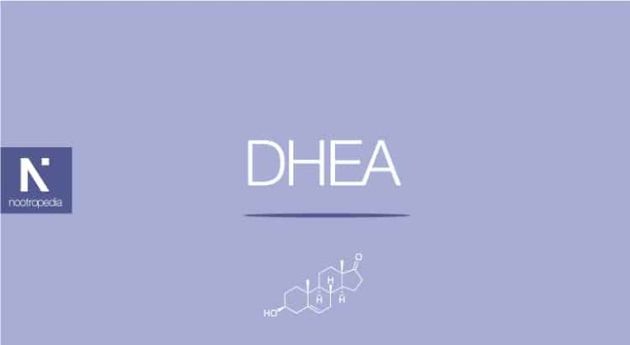 【圖】DHA Vs. DHEA