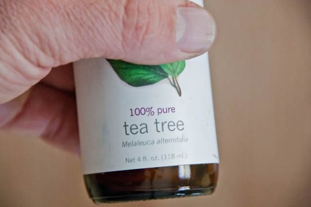 【圖】如何使用茶樹油治療跳蚤？