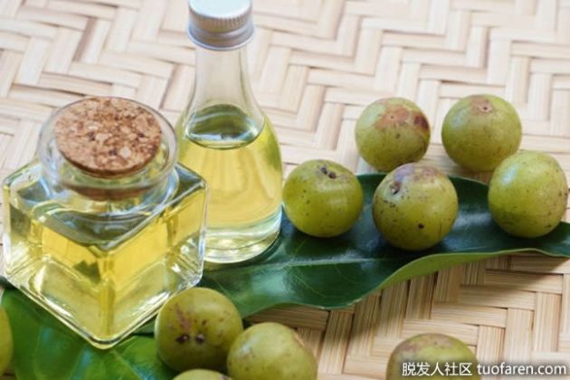 【圖】什麼是醋栗髮油？