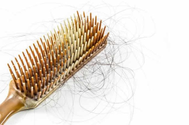 【圖】我們每天會掉多少根頭髮?