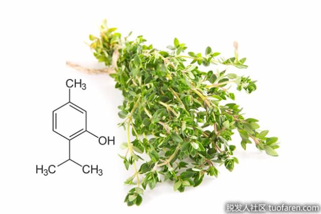 【圖】什麼是百里酚？