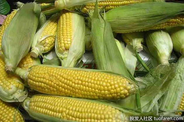 【圖】在家制作玉米油的3個步驟