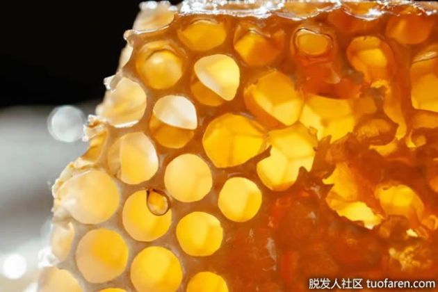 【圖】什麼是含維生素B4的食物？