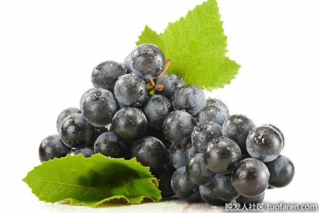 【圖】哪些食物含有白藜蘆醇？