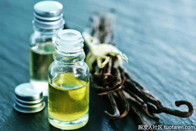 【圖】什麼是香草精油？