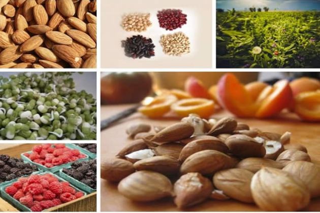 【圖】含維生素B17的食物