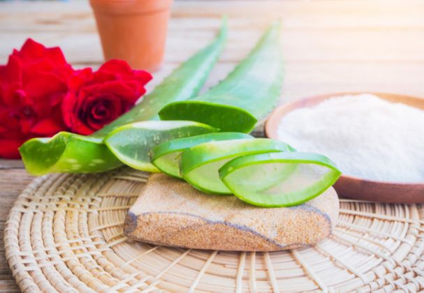 【圖】蘆薈治療頭皮發癢