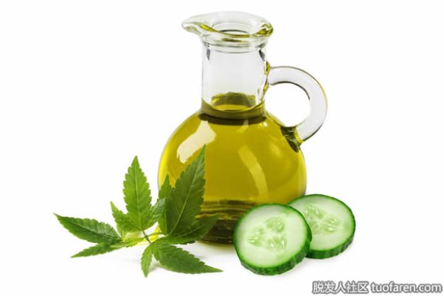 【圖】黃瓜籽油有什麼好處？
