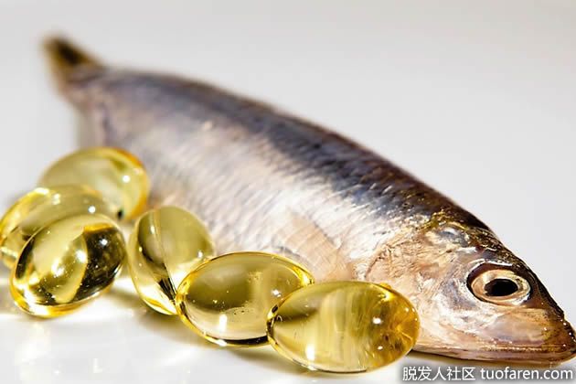 【圖】魚油營養成分：化學成分及其益處