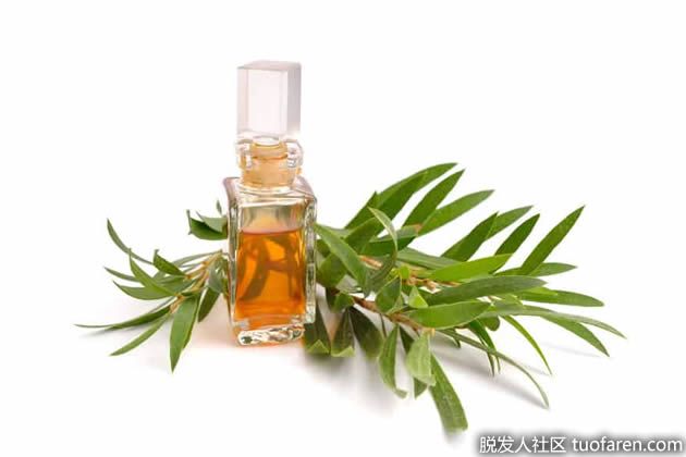 【圖】茶樹油的功效