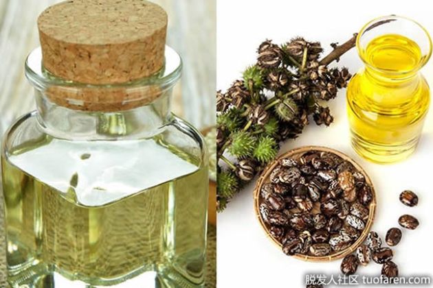 【圖】蓖麻油治療脱髮