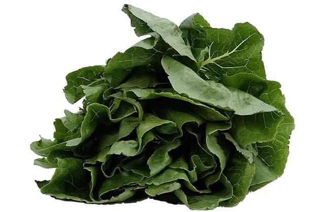 【圖】【組圖】葉黃素含量高的食物