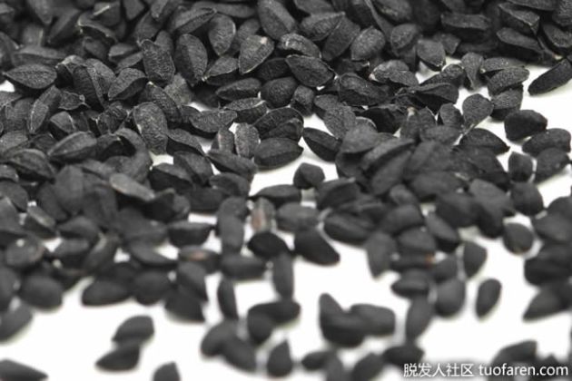 【圖】【組圖】什麼是黑籽油？