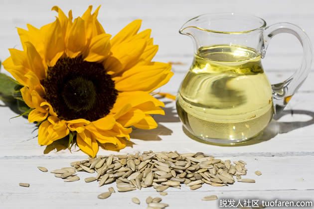 【圖】葵花籽油頭髮護理DIY